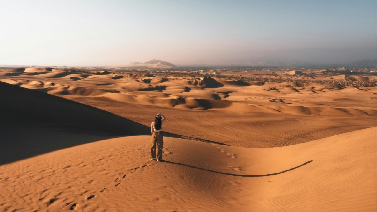 A espera é dolorosa o esquecimento é doloroso mas não saber o que fazer é o pior dos sofrimentos - Paulo Coelho