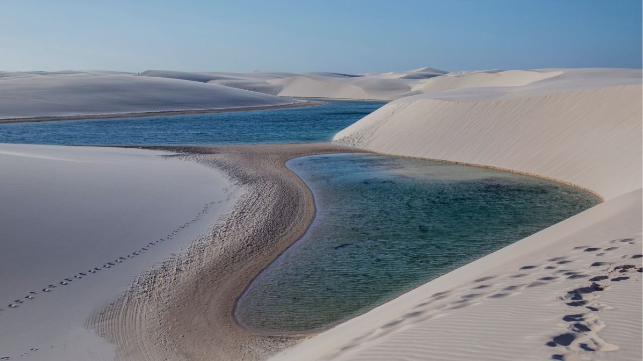 A vida é uma constante mudança e só evolui quem aprende a se adaptar - Paulo Coelho