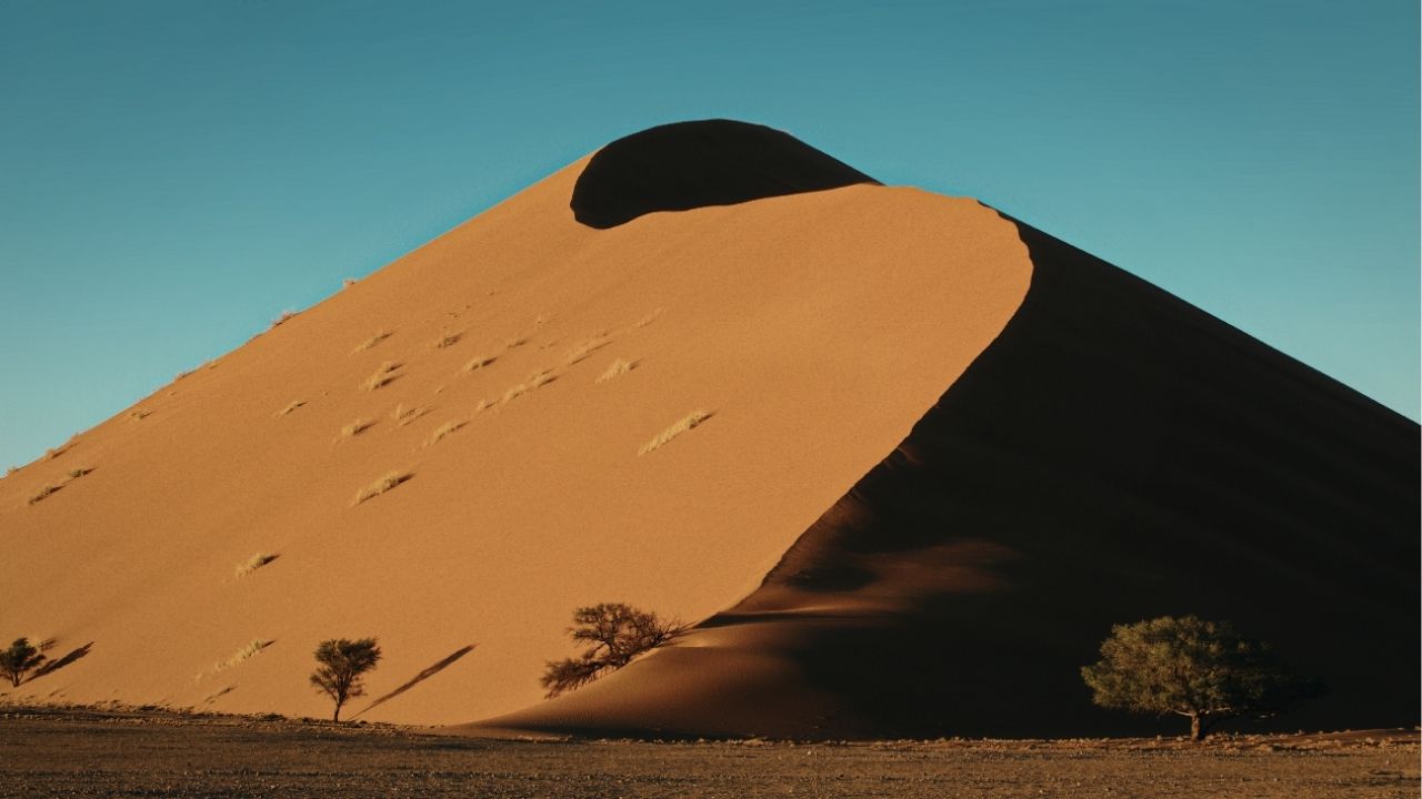 Nunca somos derrotados a menos que desistamos de lutar - Paulo Coelho